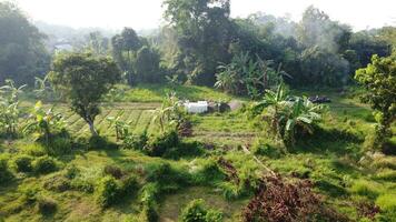 large fields for gardening photo