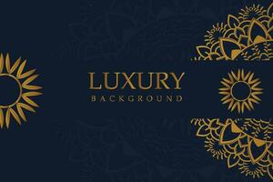 Luxury Mandala Background Design vector