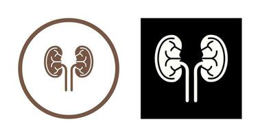 Kidney Vector Icon