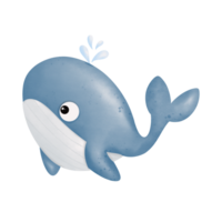 blauw walvis in de zee png