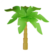 Palm tree isolated. 3D Rendering png