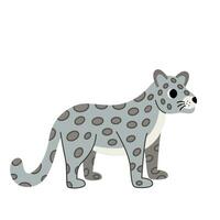 Vector illustration of cute snow leopard isolated on white background.