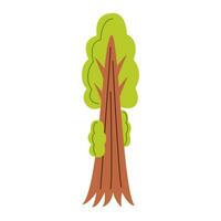 Vector illustration of cute redwood tree isolated on white background.