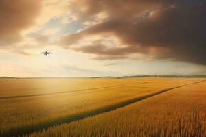 Drone flying over the field. Smart agriculture controlled. Neural network AI generated photo