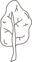 albero linea mano disegnato scarabocchio. png