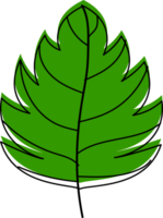 Leaf cartoon doodle png