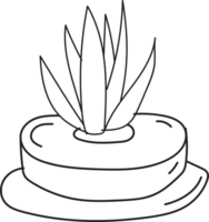 plante pot ligne main dessiner griffonnage png