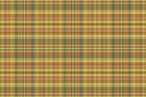 Tartan plaid pattern with texture and nature color. vector