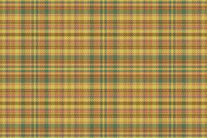 Tartan plaid pattern with texture and nature color. vector