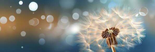 Abstract blurred nature background dandelion seeds parachute. Bokeh pattern. Generative AI photo