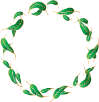 dekorativ runda löv ramar illustration, transparent bakgrund png