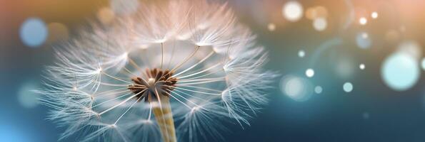 Abstract blurred nature background dandelion seeds parachute. Bokeh pattern. Generative AI photo