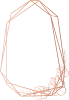 rose or géométrique Cadre floral illustration, transparent Contexte png