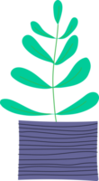 Plant pot cartoon doodle png