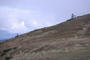 Mañana ver desde el dragobrat montaña picos en cárpato montañas, Ucrania. nublado y brumoso paisaje alrededor Drahobrat picos foto