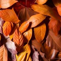 Autumn orange, leaves fall abstract background, leaf random element outdoor ai generative photo