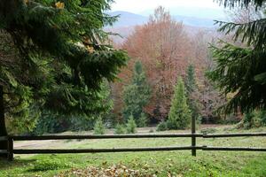 Autumn rural landscape with mountains peaks on background photo