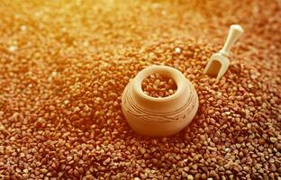 Background image of a large pile of buckwheat, in the middle of which lies a small jug and a wooden spatula for cereals photo