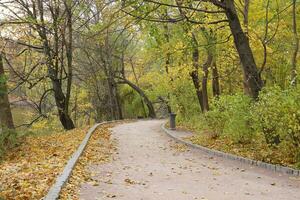 Beautiful Nature Autumn landscape. Scenery view on autumn city park with golden yellow foliage in cloudy day photo