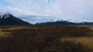 vermelho arbustos e coberto de neve montanhas em outono dia. panorama do Alasca, EUA. aéreo visualizar. zangão moscas frente às baixo nível video