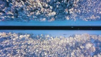 branco carro vai em em linha reta estrada dentro inverno. congeladas floresta. aéreo Careca visualizar. zangão moscas lateralmente video