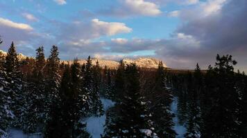 otkliknoy berg bergsrygg, mitkiny klippor och barr- skog på en vinter- morgon. antenn se. taganay nationell parkera, sydlig uraler, Ryssland. Drönare flugor framåt- och uppåt mellan träd video