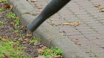 A worker removes autumn leaves in the park. Close-up. Preparing the city for winter. video
