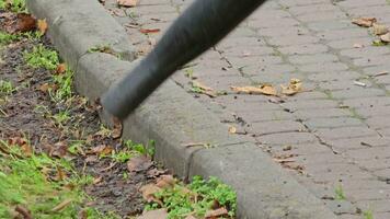 een arbeider verwijdert herfst bladeren in de park. detailopname. voorbereidingen treffen de stad voor winter. video