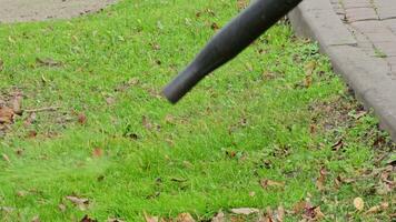 een arbeider verwijdert herfst bladeren in de park. detailopname. voorbereidingen treffen de stad voor winter. video