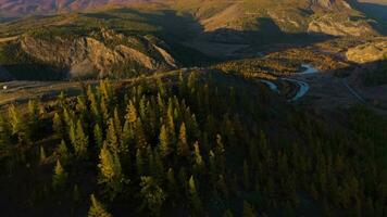 Kurai estepa, Chuya río, amarillo alerces y montañas en otoño a amanecer. aéreo vista. altai montañas, Rusia. revelar Disparo video