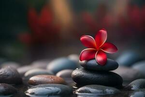 Spa stones and red frangipani flower. Neural network AI generated photo