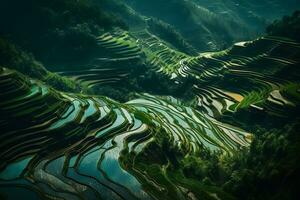 Rice fields on terraced of Mu Cang Chai, YenBai, Vietnam. Rice fields prepare the harvest at Northwest Vietnam.Vietnam landscapes. Neural network AI generated photo