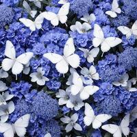 Flower realistic seamless butterfly abstract pattern. floral random background blue white ai generative photo