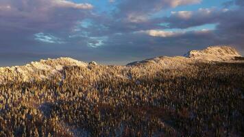 ok montagna cresta, mitkiny scogliere e conifero foresta su un' inverno mattina. aereo Visualizza. taganay nazionale parco, meridionale Urali, Russia. fuco mosche indietro video