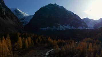 Mount Karatash and Yellow Larches in Aktru Valley in Autumn. The Altai Mountains. Russia. Aerial View. Drone Flies Backwards and Upwards video