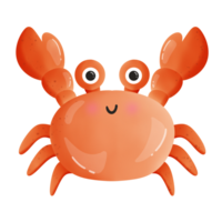 Cute crab cartoon drawing png