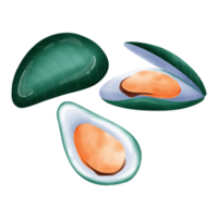 Cute mussels cartoon drawing png