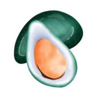 Cute mussels cartoon drawing png