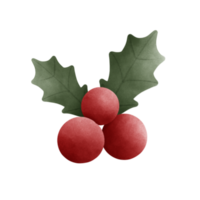 Mistletoe for decoration png