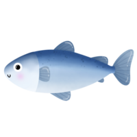 Cute salmon cartoon drawing png