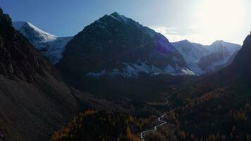 Mount Karatash and Yellow Larches in Aktru Valley in Autumn. The Altai Mountains. Russia. Aerial View. Drone is Orbiting video