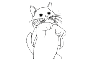 animale - animale domestico - adorabile gatto - gattino - gattino illustrazione png