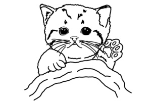 animal - mascota - adorable gato - gatito - gatito ilustración png