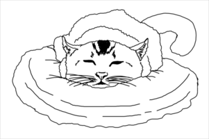 Tier - - Haustier - - bezaubernd Katze - - Kätzchen - - Kitty Illustration png