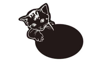 Tier - - Haustier - - Kinder- Zimmer Typenschild mit bezaubernd Katze Illustration png