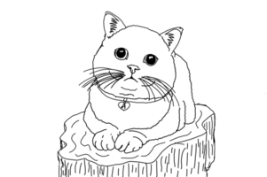 animale - animale domestico - adorabile gatto illustrazione png