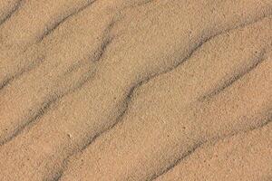 The texture of sand photo