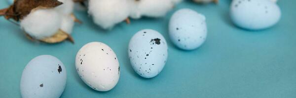 Easter background. Blue and white painted quail eggs on a blue background photo