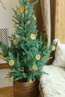 Cozy interior decorated for Christmas in Scandinavian style. Live fir trees decorated with natural ornaments made of dried oranges photo