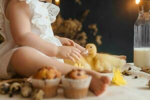 Cute fluffy ducklings on the Easter table with quail eggs and Easter cupcakes, next to a little girl. The concept of a happy Easter photo